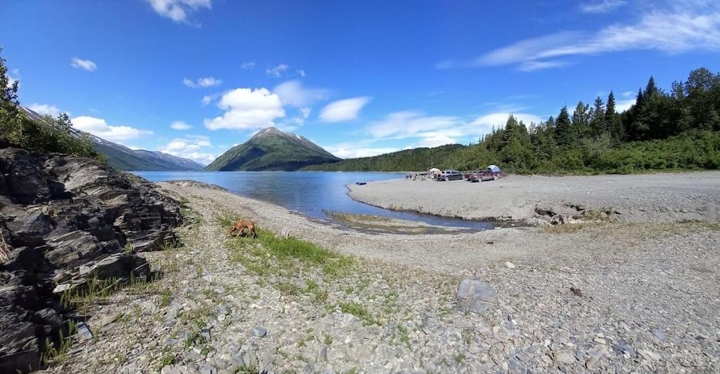 Oyster Lady Homer, Ak Buitenkant foto